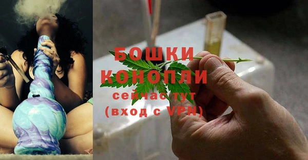 шишки Осташков