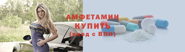 шишки Осташков