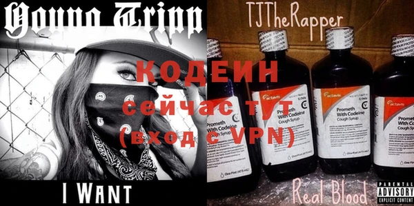 шишки Осташков