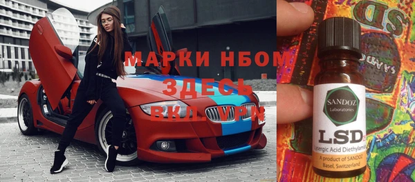 шишки Осташков