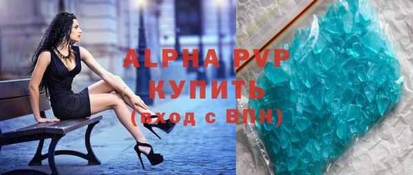 шишки Осташков