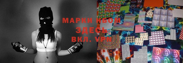 шишки Осташков