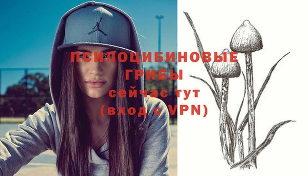 альфа пвп Остров