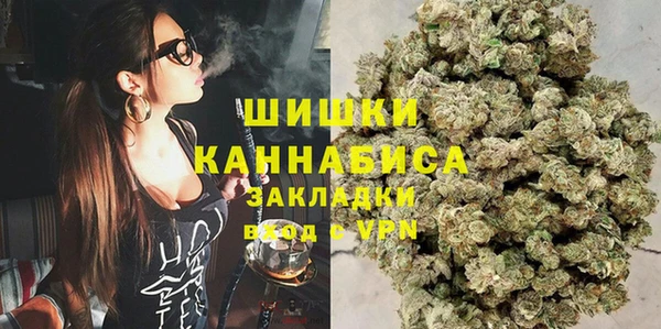шишки Осташков